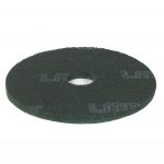 Disque de lavage VERT 254 LMT 10"