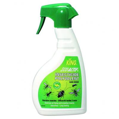 IINSECTICIDE POLYVALENT 500 ml ECO ACTIF KING